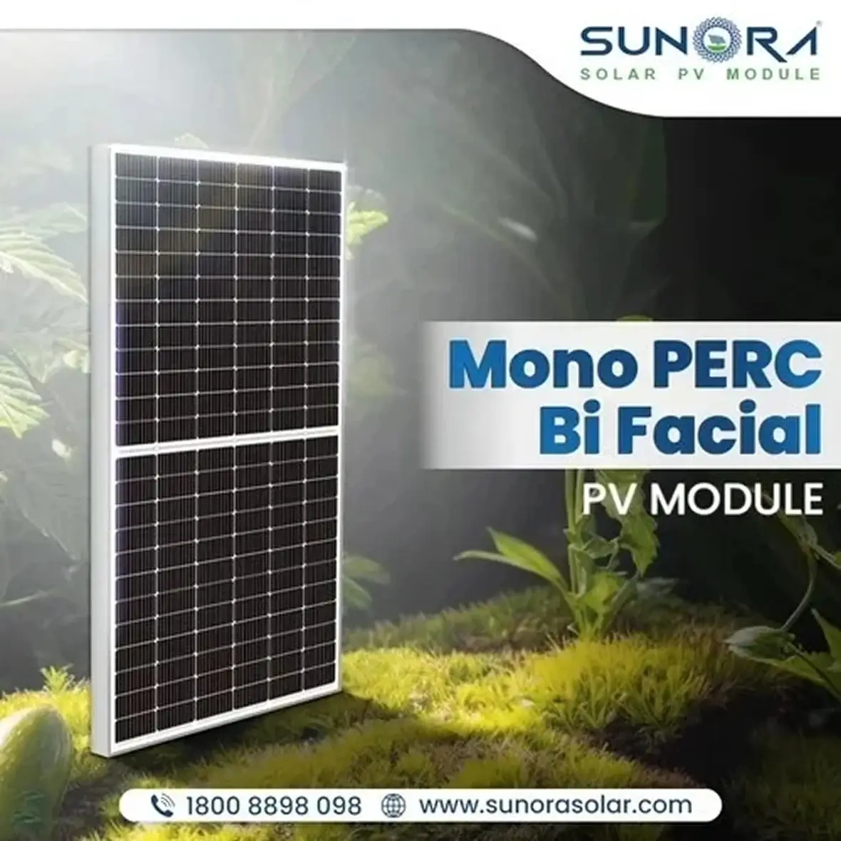 DCR MONO PERC (520-550W)